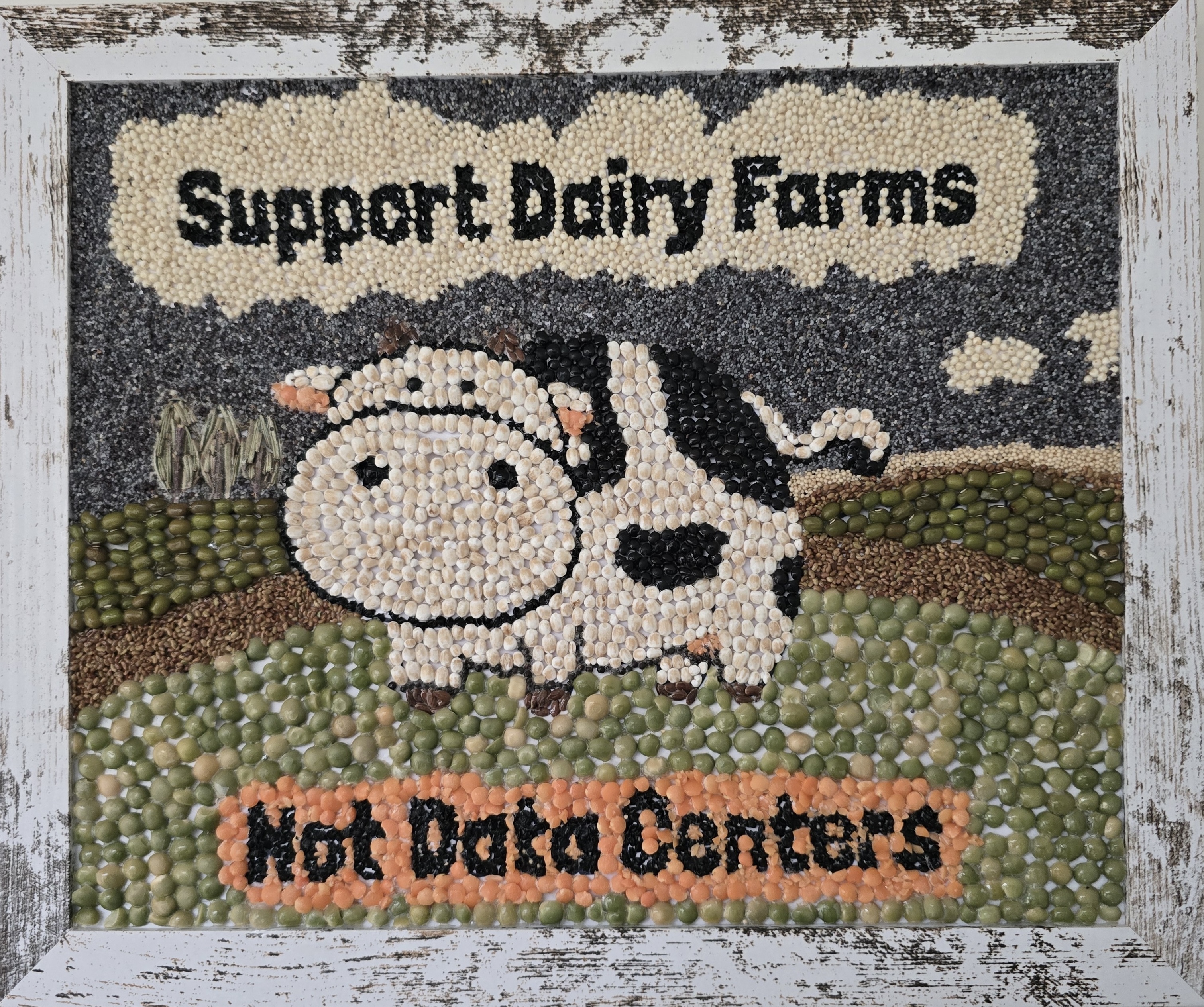 [Elycia Arendt Support Dairy Farms Not Data Centers image]